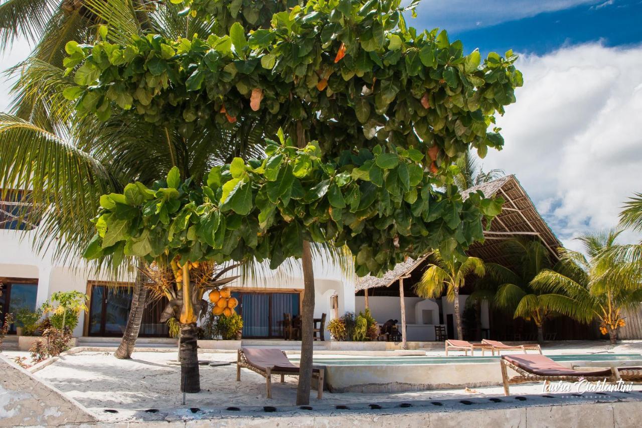 Uroa Zanzibar Vera Beach Hotel By Moonshine Dikoni Екстериор снимка